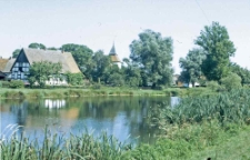 Staw w Swołowie