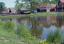Widok na staw w Swołowie o dstrony południowej
