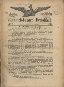 Rummelsburger Kreisblatt 1891